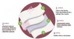 Organyc Menstruační kalhotky z bio bavlny - ultraabsorpční  S